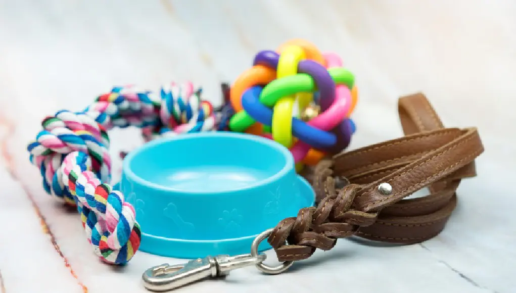 A blue bowl and some toys on the ground